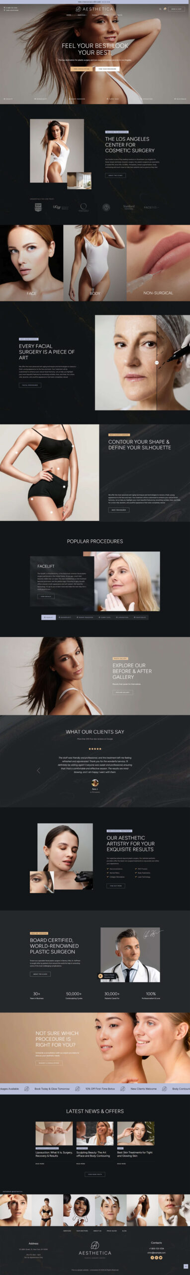 Главная страница темный вариант - Aesthetica — Премиальный WordPress-сайт