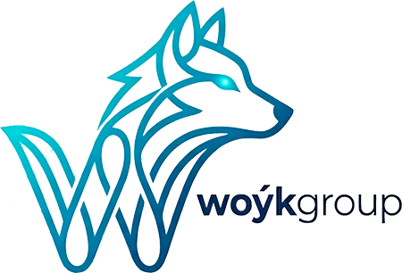 WoykGroup - Вожаки цифровой трансформации