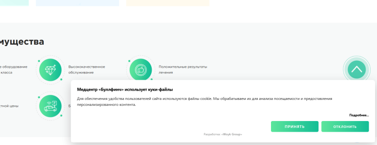 Всплывающее окно обработки согласия пользователя на использование куки файлов на сайте bullfinch.by